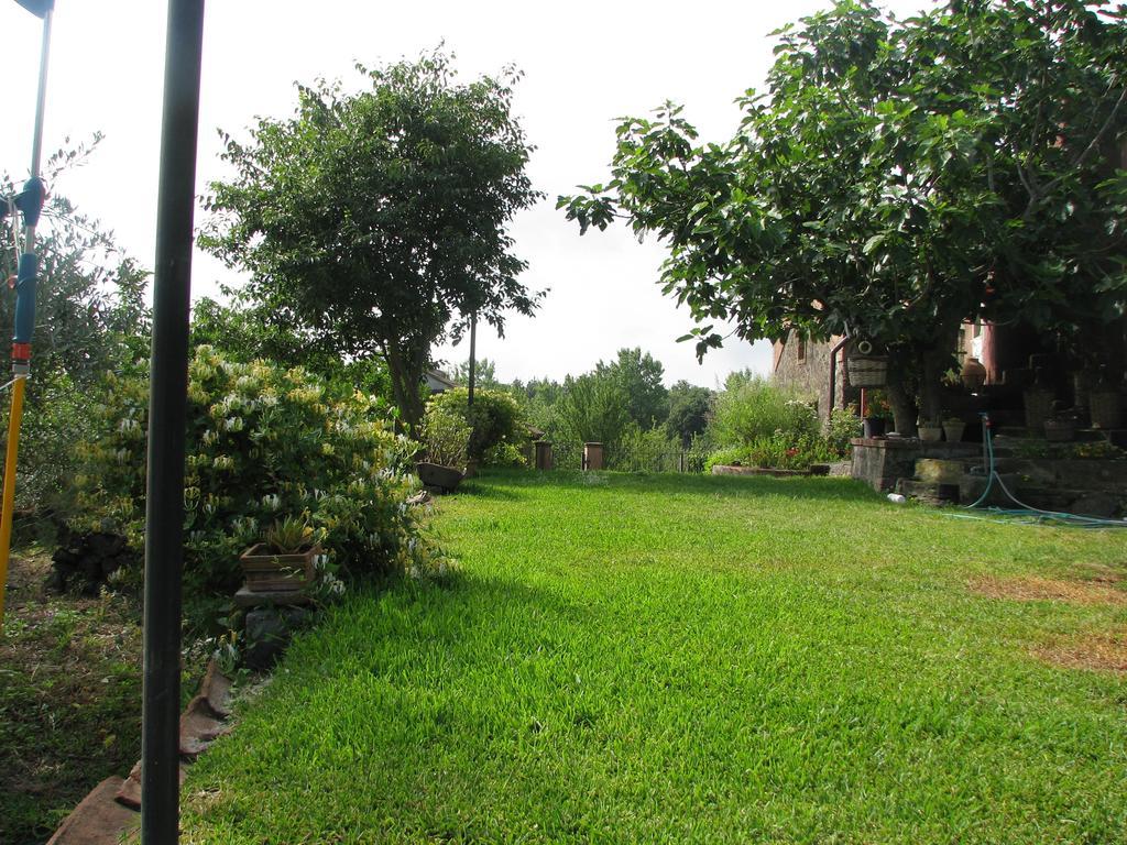 Domus Vini Villa San Giovanni La Punta Ruang foto