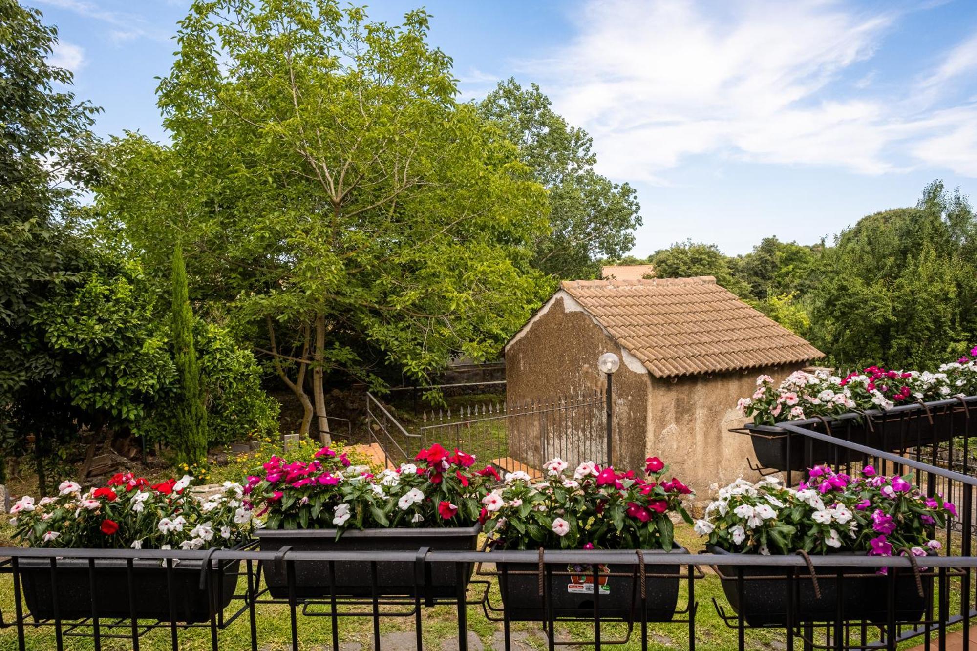 Domus Vini Villa San Giovanni La Punta Bagian luar foto